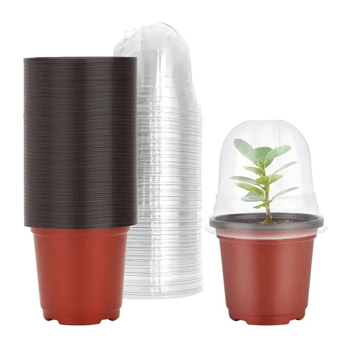 Pots de pépinière pour plantes avec dôme d'humidité
