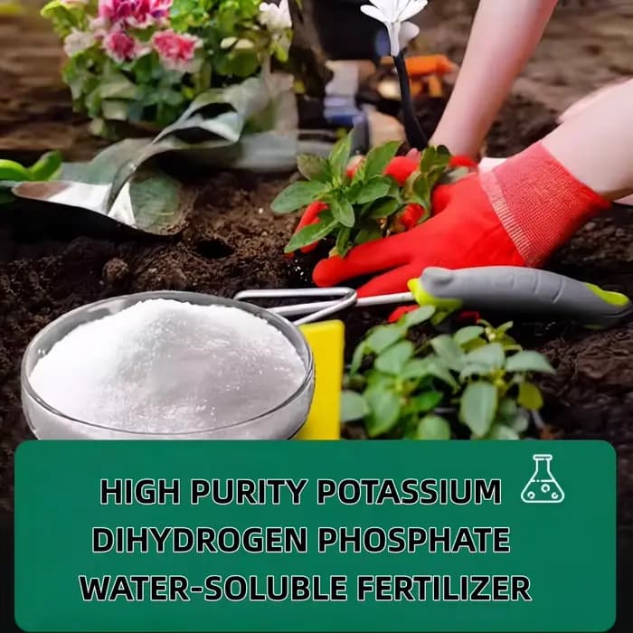 100g Monopotassium Phosphate MKP engrais Soluble dans l'eau floraison Booster pour fleurs Fruits et
