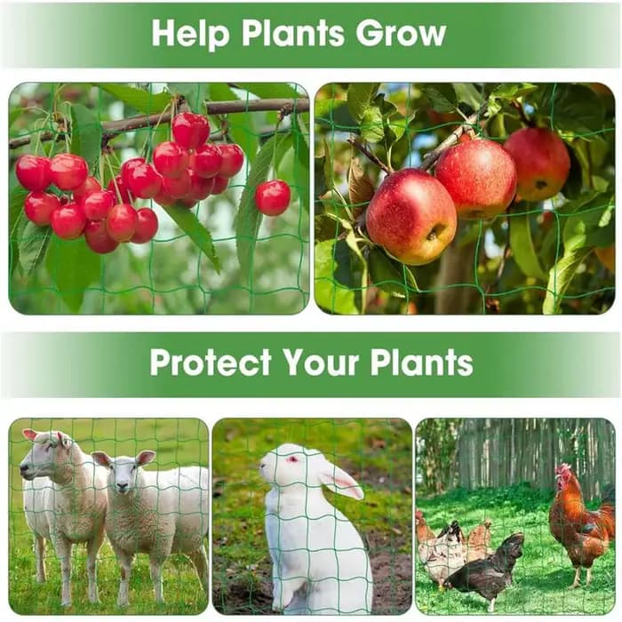 Filet en treillis pour plantes grimpantes, support de plante flexible, maille de croissance, robuste
