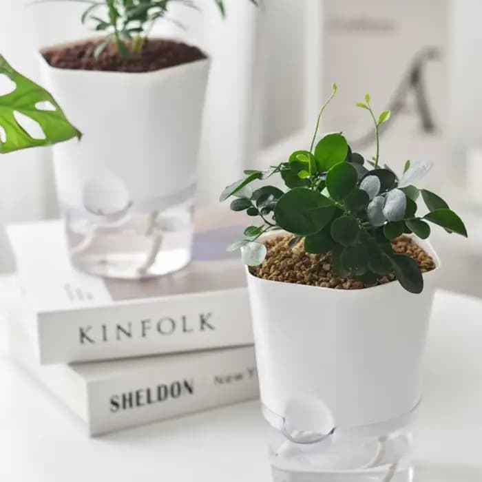 Mini pot de fleur hydroponique pour la décoration de la maison