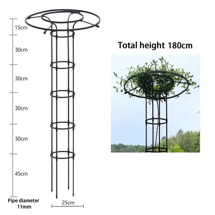 Treillis de Jardin pour Plantes Grimpantes