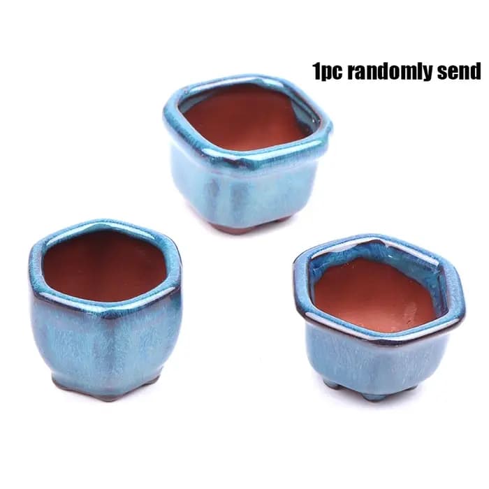 Mini pots de plantes avec trous