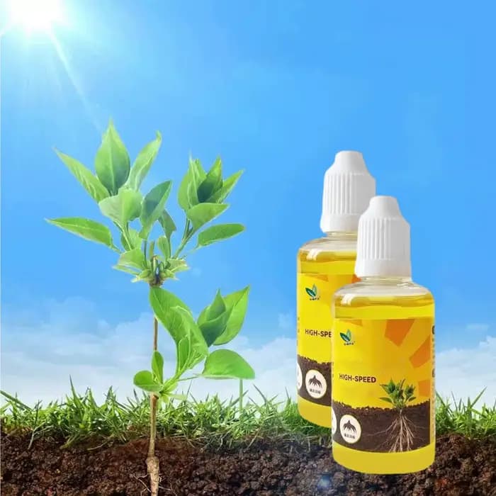 Stimulateur d'enracinement des plantes