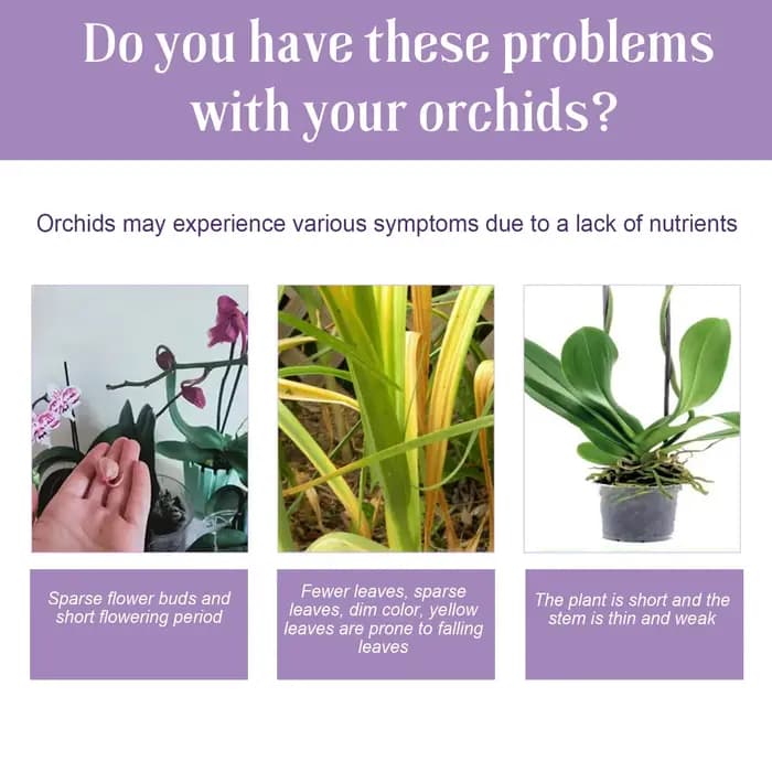 Engrais liquide spécial pour fleurs d'orchidées
