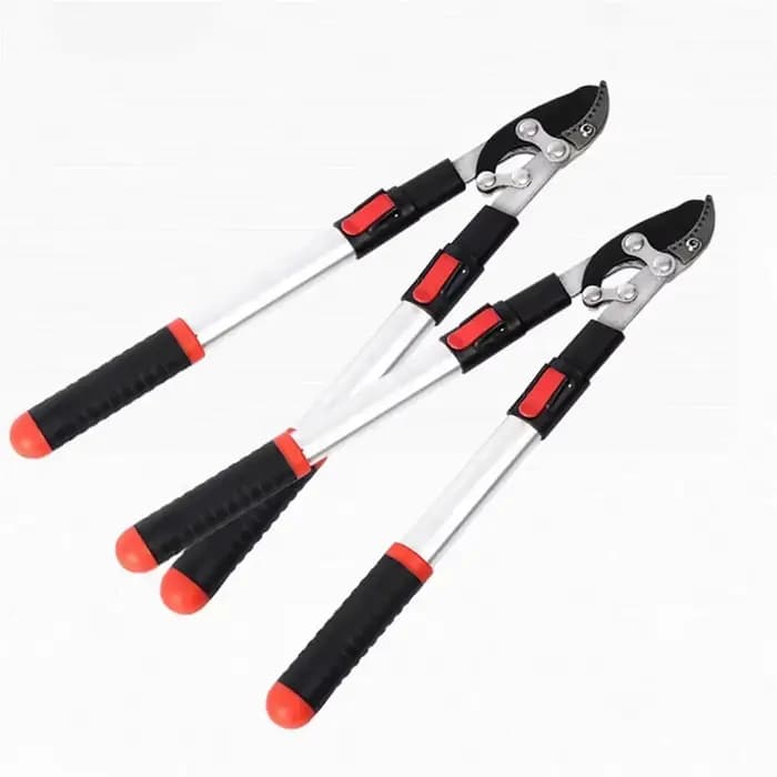 Ciseaux de jardin extensibles en acier SK5, outils à main professionnels