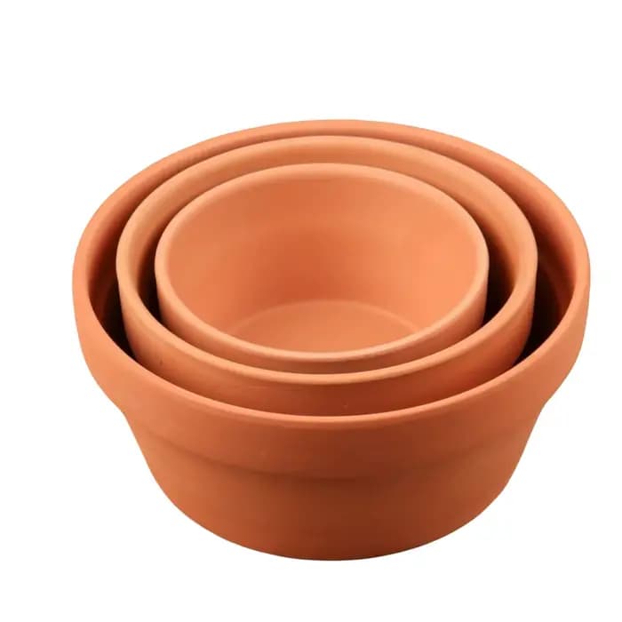 Pots peu profonds en terre cuite