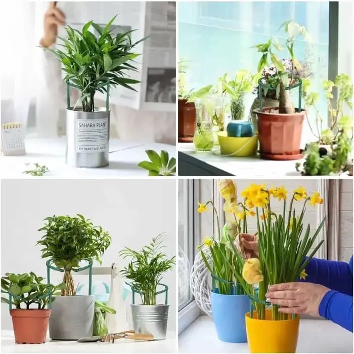 Support de Pile pour plantes, cadre demi-cercle, Support de tige fixe, Arrangement de jardinage, Sup