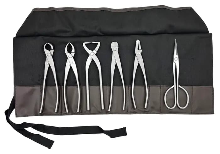 Ensemble d'outils pour bonsaï de bonne qualité (6 pièces)