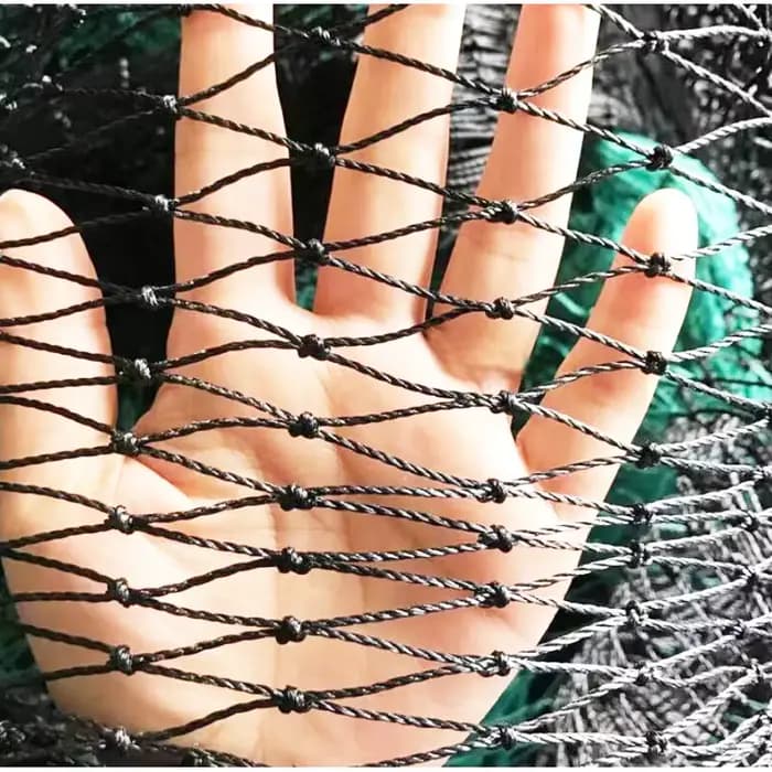 Filet anti-oiseaux noir robuste, clôture de jardin et cultures, maille de protection, anti-oiseaux,
