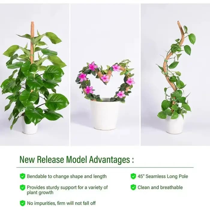 Support de grimpement pliable pour plantes, en fibre de coco, déformable, avec base de fixation, typ