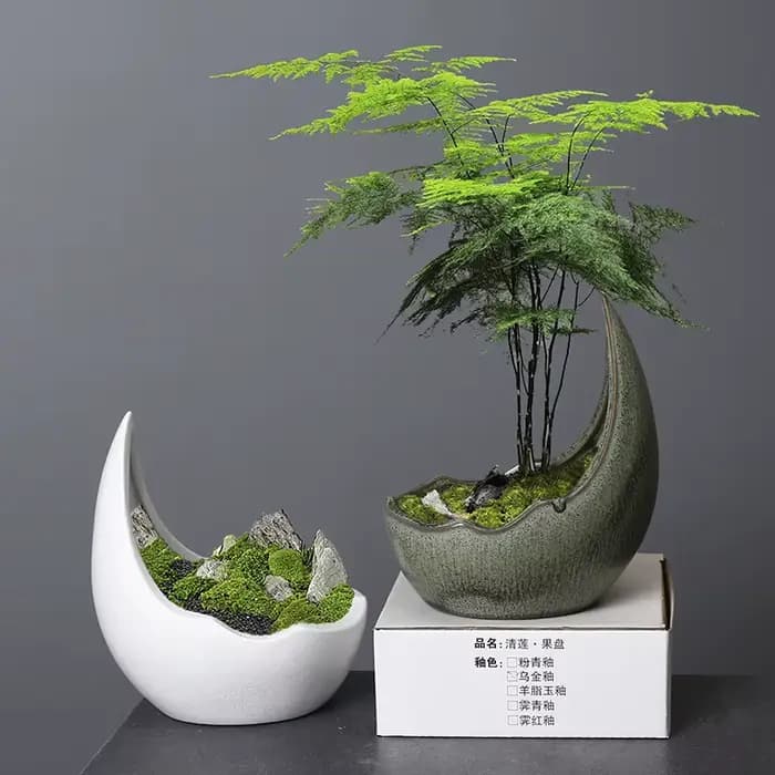 Pot de fleurs en céramique en forme de corne de rhinocéros