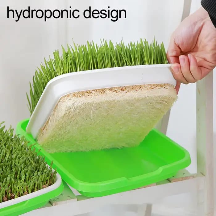 Plateau de germination pour micro-légumes hydroponiques, plateaux de culture pour herbes de blé, bac