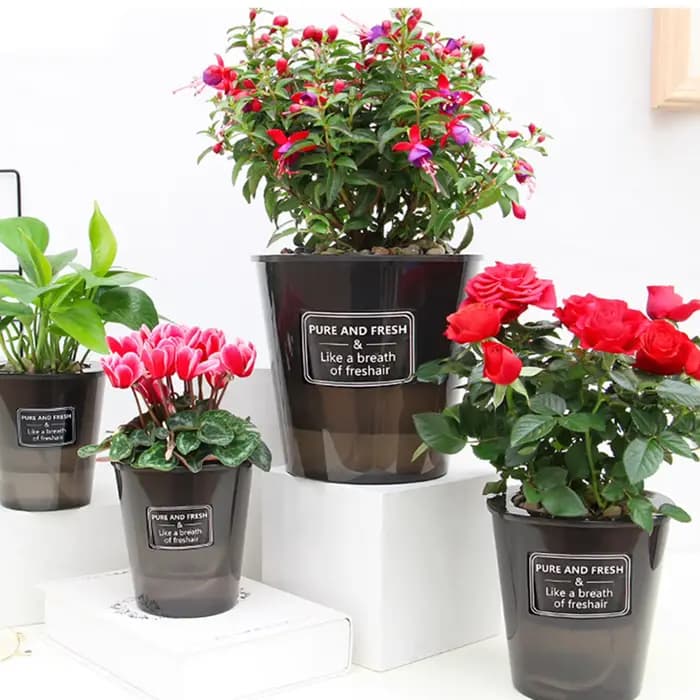 Pot de Fleur Hydroponique Créatif, Super Absorbant, pour assurer la Croissance Saine des Plantes Ver
