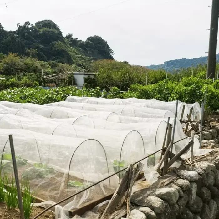 Arceaux de serre 2026 adaptés aux tunnels végétaux plus larges, cadres de soutien en fibre de verre antirouille et supports de jardinage pour plantes