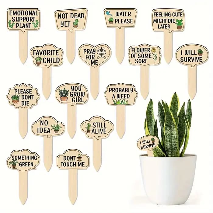 Lot de 15 étiquettes de plantes en bois populaires pour plantes en pot