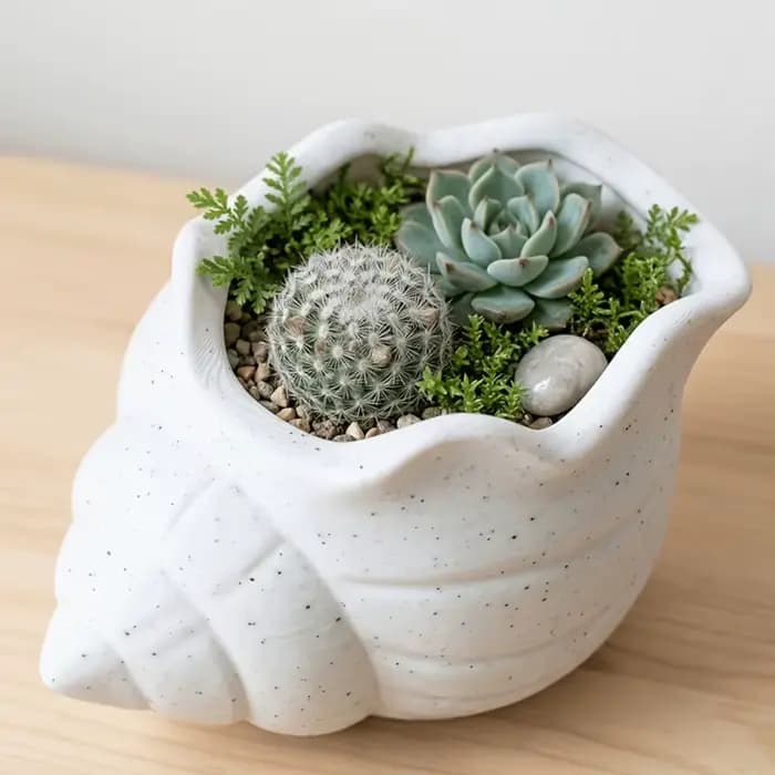 Pot de fleurs en forme de coquillage imprimé en 3D