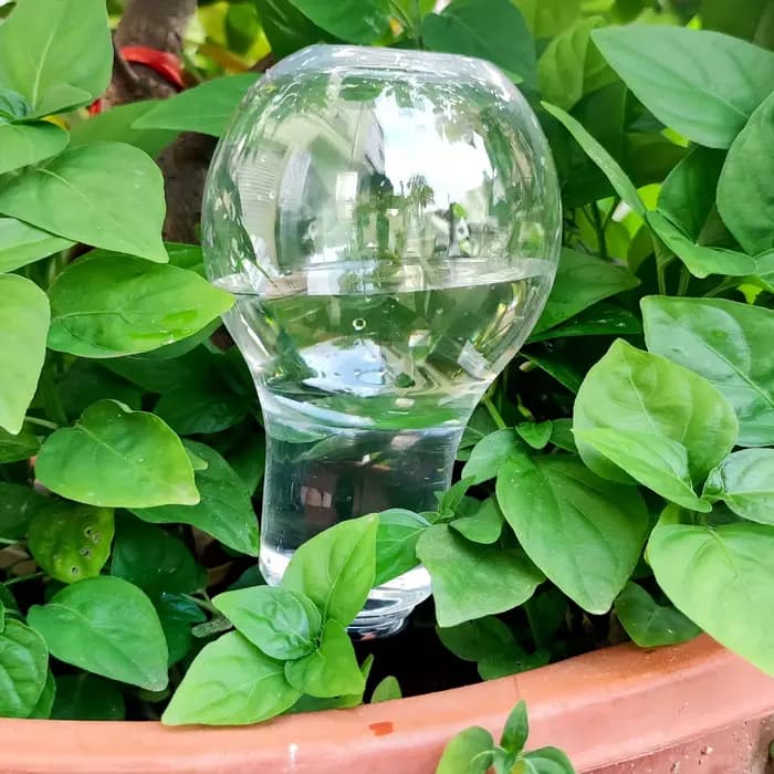 Outil d'arrosage automatique de jardin, dispositif d'arrosage goutte-à-goutte d'intérieur pour plant