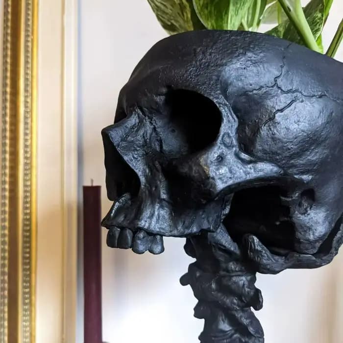 Ensemble de support de colonne vertébrale de jardinière de crâne