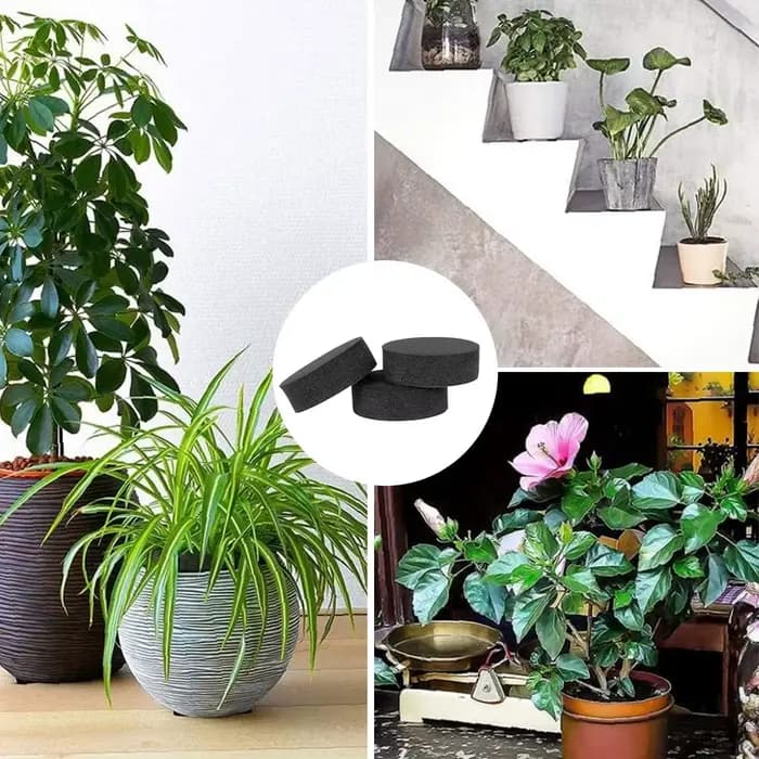 Riser de pot de fleur invisible pour plantes, base auto-arina, non ald, intérieur, extérieur, fourni