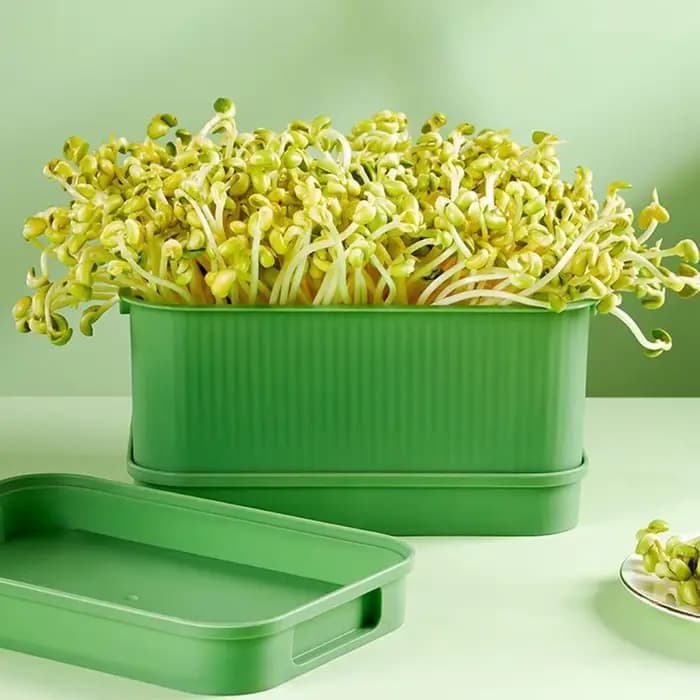 Plateau de germination pour graines, jardin hydroponique, germination d'arachides, boîte de germination, mini kits de serre, pot de plantation sans terre O8P4