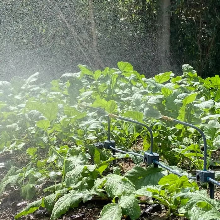 Système d'arrosage de jardin 5M-30M, pompe auto-amorçante, minuterie 360 ° Arroseur de refroidisse