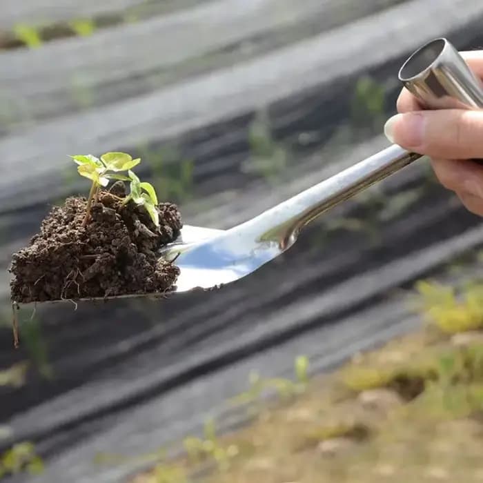 Outils de forgeage et de plantation à l'ancienne