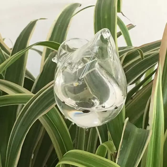 Globes d'arrosage automatique en forme d'oiseau de jardin