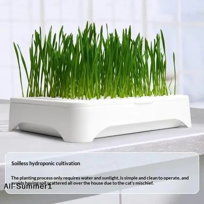 【E】Pot de culture hydroponique pour herbe à chat