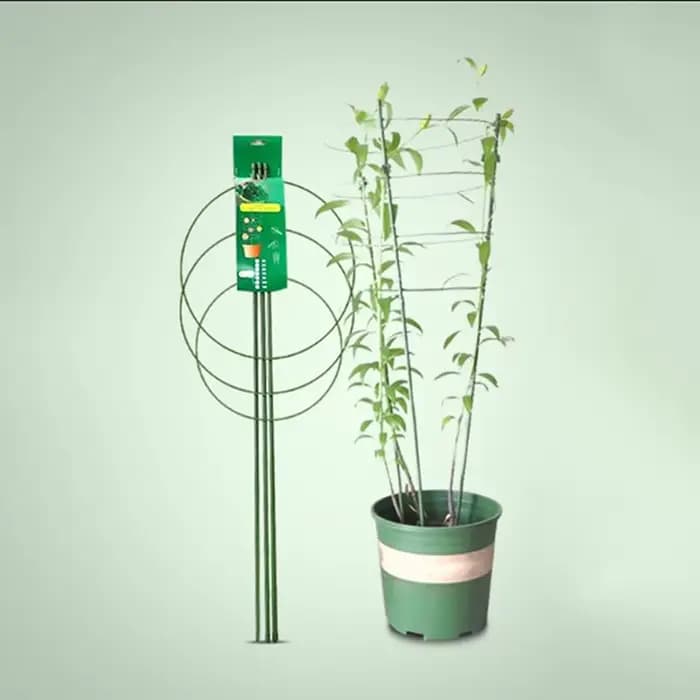 Vigne grimpante T1 pour plantes en pot, cadre de support en plastique enduit d'acier, treillis décor