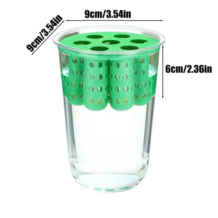 Pot de culture pour la repousse des oignons verts, Kit de germination hydroponique transparent pour pousses d'oignon