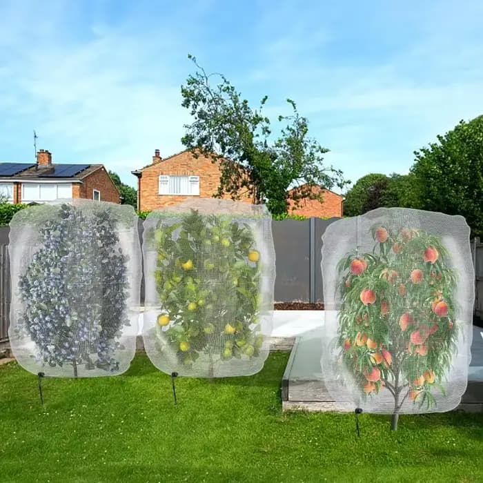 Couverture en filet anti-insectes pour arbres fruitiers