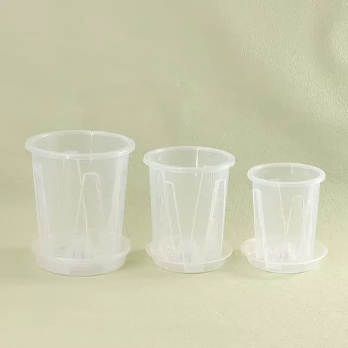 Pot de Fleur Transparent avec Escalade pour Plantation d'Orchidées Phalaenopsis
