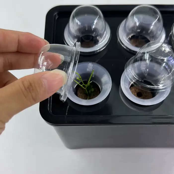 Système de culture hydroponique blanc/noir, boîte hydroponique, Pot de pépinière à 6 trous pour plan