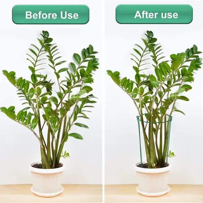 Piquets de Support de Plante en Métal Robuste, Bordure d'Anneau Vert pour Jardin, Fleur d'Hortensia