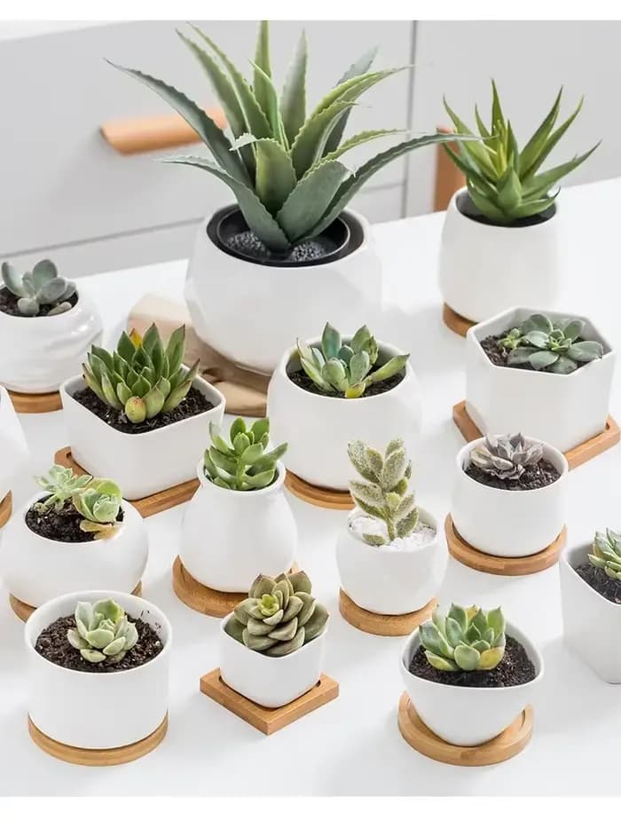 Mini pot à plantes en bambou T1