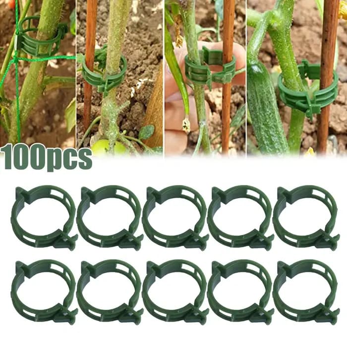 Clips de Support pour plantes