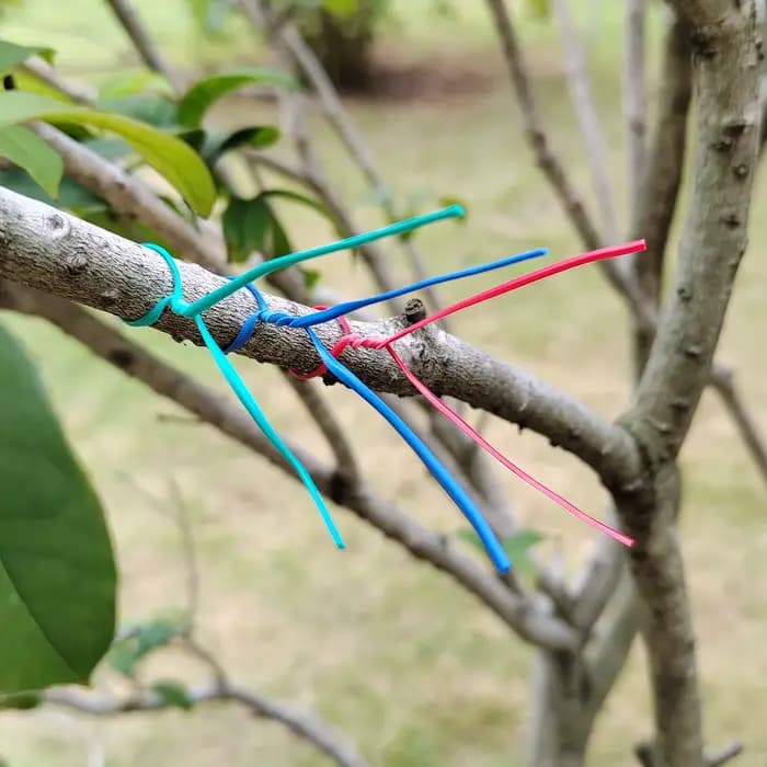 Attaches de câble de jardinage réutilisables, 100 pièces, fil de fer Oblate, attache torsadée pour p