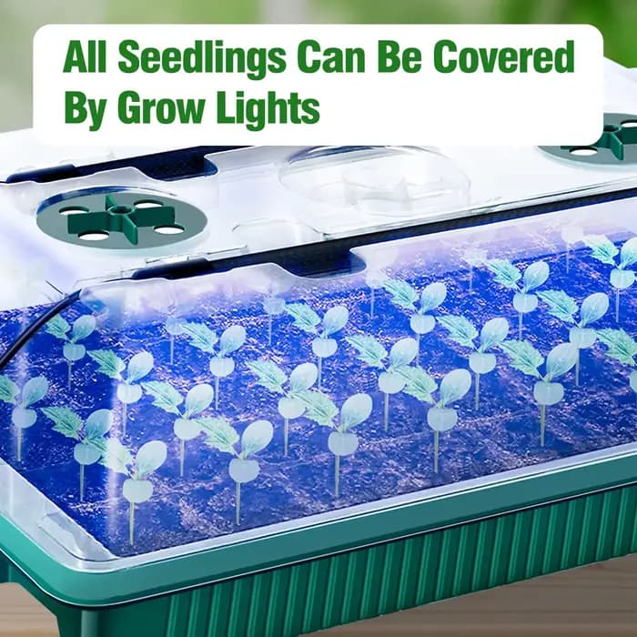 Lot De 2 Plateaux De Démarrage Pour Graines Avec Kit De Germination À Dôme Élevé – 80 Cellules