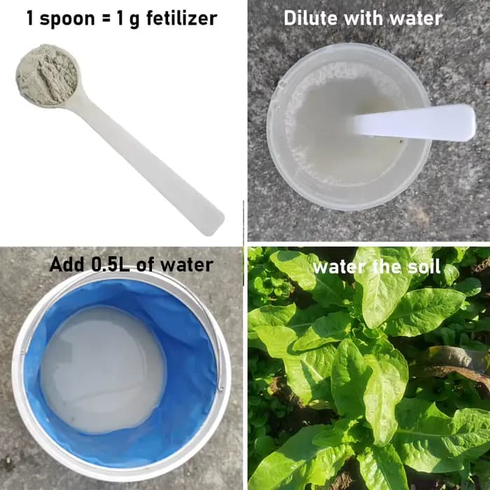 Engrais microbien soluble dans l'eau, métharianium, écologique, 30g, pour protéger les plantes, biofertilisateur naturel pour l'agriculture durable