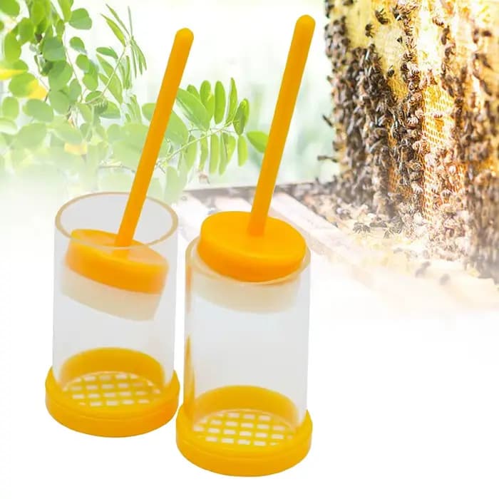 Piston pour apiculture reine des abeilles, outil de récupération de bouteilles étiqueté, fournitures