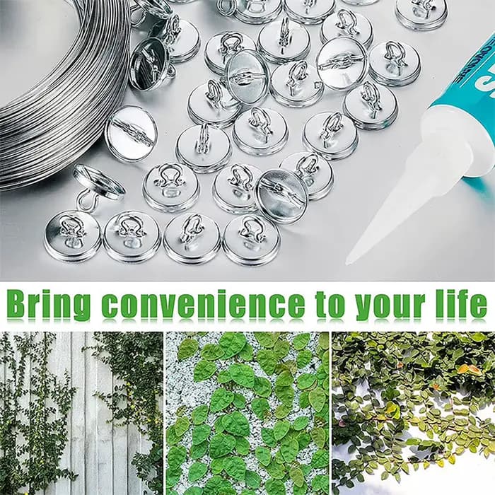 Kit de treillis universel en aluminium pour plantes grimpantes, injecteur de vigne, extérieur, 50/10