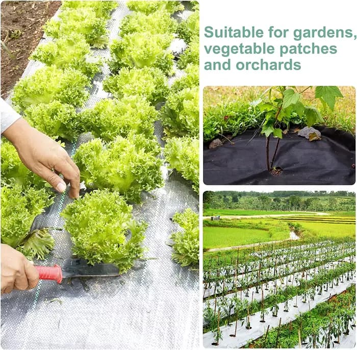 Barrière contre les mauvaises herbes en tissu de paysage de jardin, tapis de jardinage robuste, couv