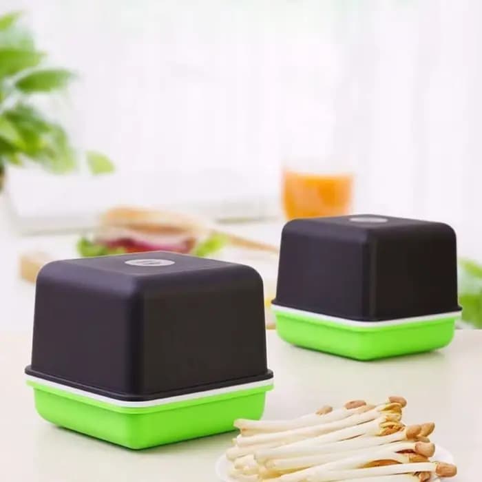 Plateau de culture hydroponique pour semis d'ail