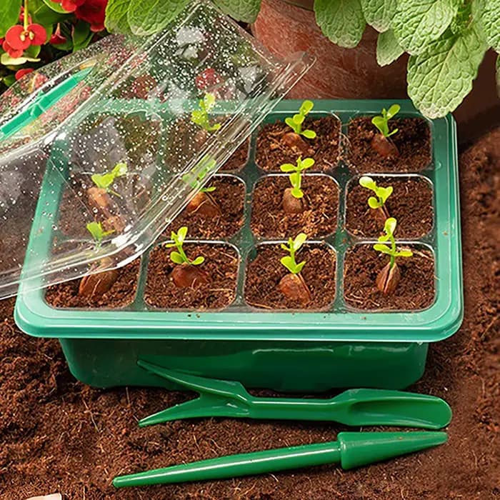 Plantes LED lumières pour plantes plateaux de démarrage de graines Pots de pépinière plateau de semi