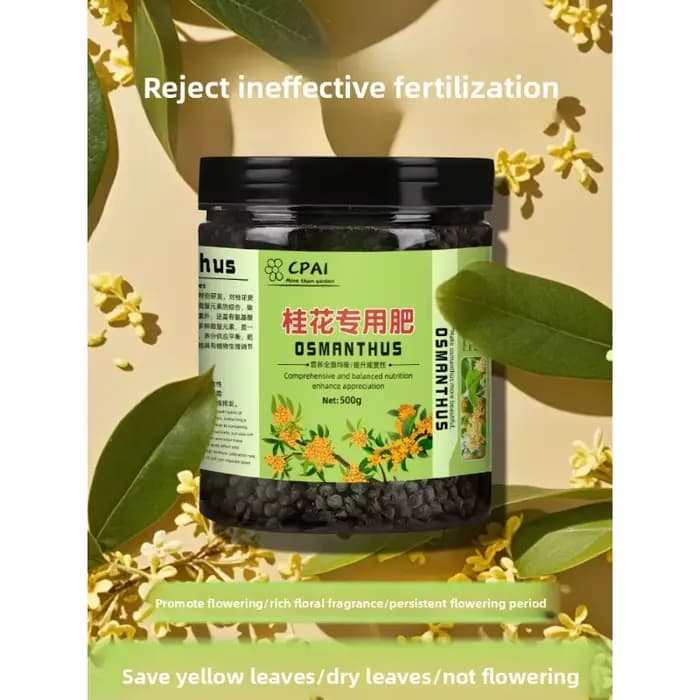 Promotion et culture de fleurs spécifiques à l'arbre Osmanthus