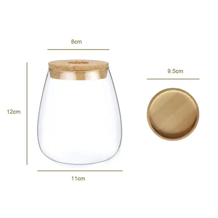 Pot en verre hydroponique - Vase de propagation moderne pour plantes d'intérieur et décoration intérieure
