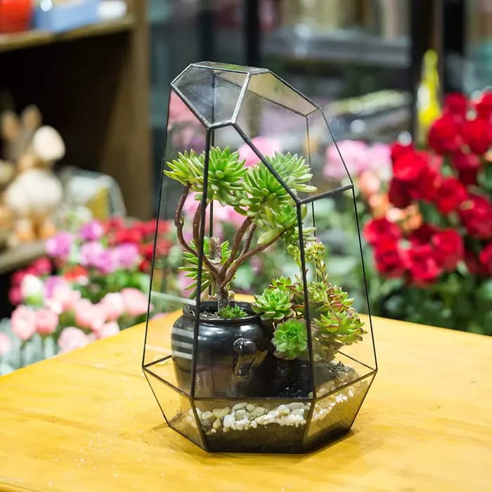 Jardinière en verre pour décoration de jardin de maison