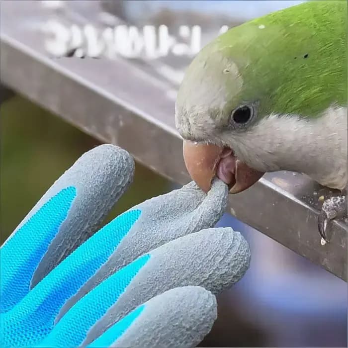 Gants de travail de jardin imperméables et durables pour enfants