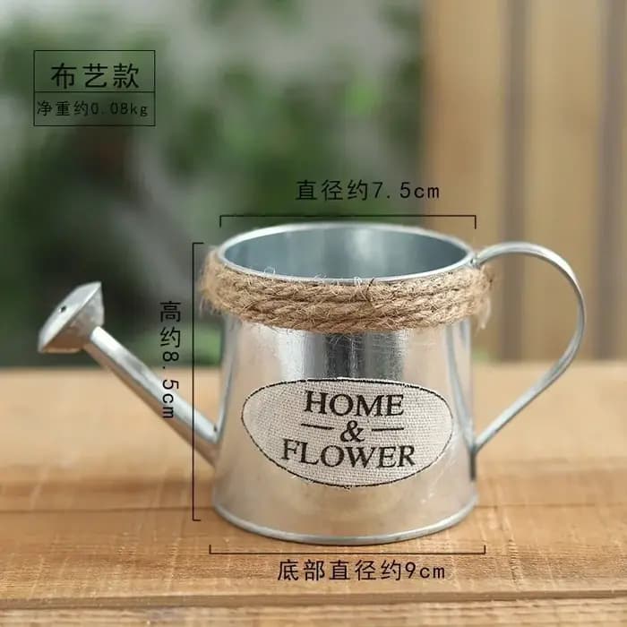 Petit arrosoir en fer, Pots seau en fer rétro pour fleurs