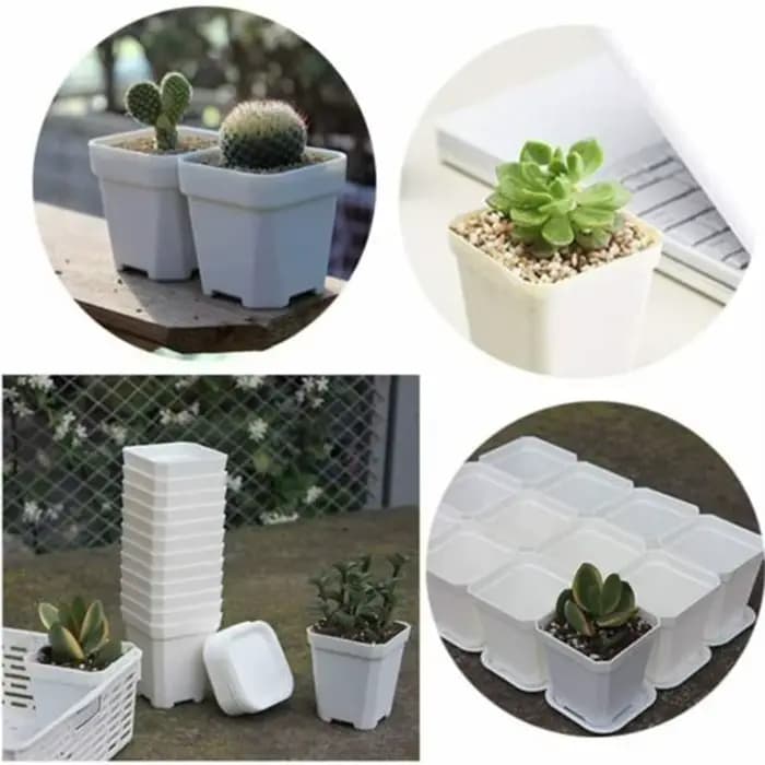 10 pièces jardinage Mini coloré Multi carré pépinière Pots de fleurs plantes vertes succulentes Pot de plante avec plateau décoration de la maison